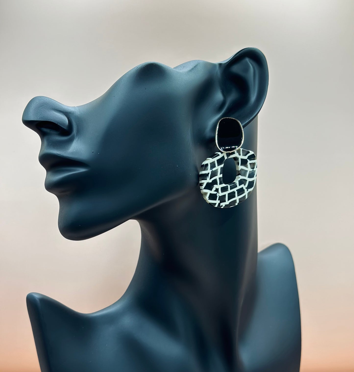 Teni - Acrylic Earrings with different styles