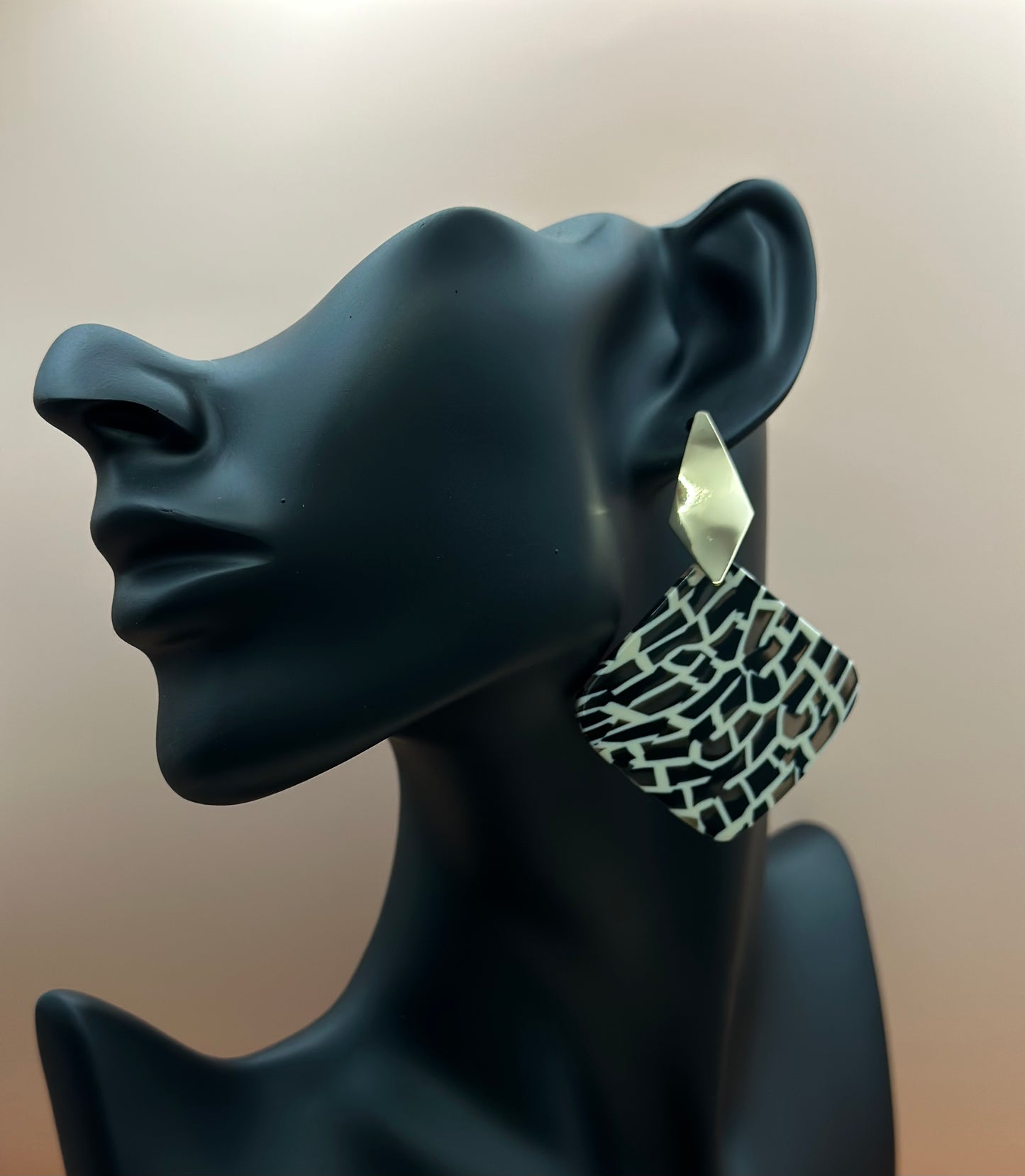 Teni - Acrylic Earrings with different styles