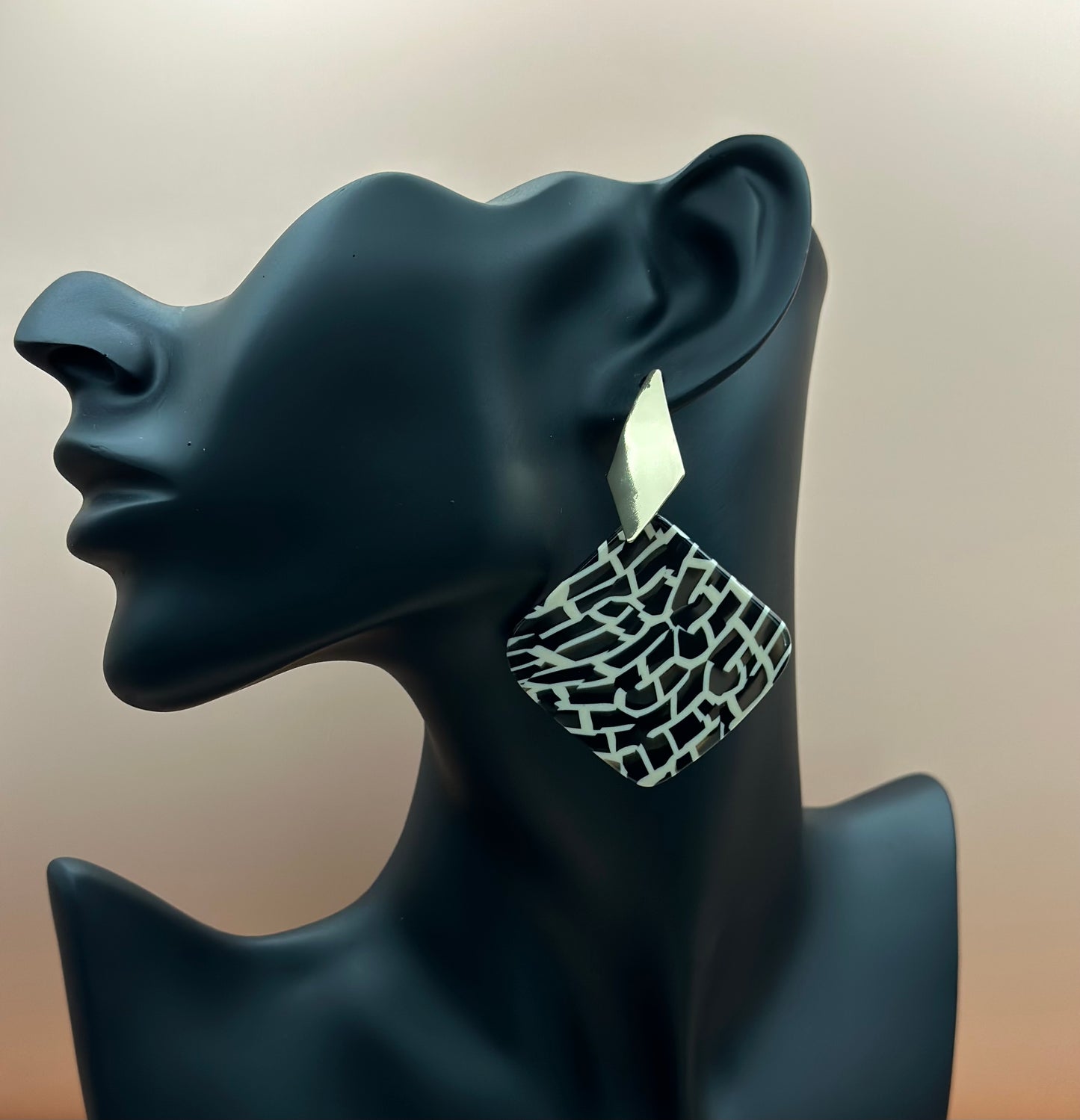 Teni - Acrylic Earrings with different styles